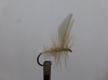 images/productimages/small/barbless flies amfishingtackle 1 007 (Kopiëren).JPG